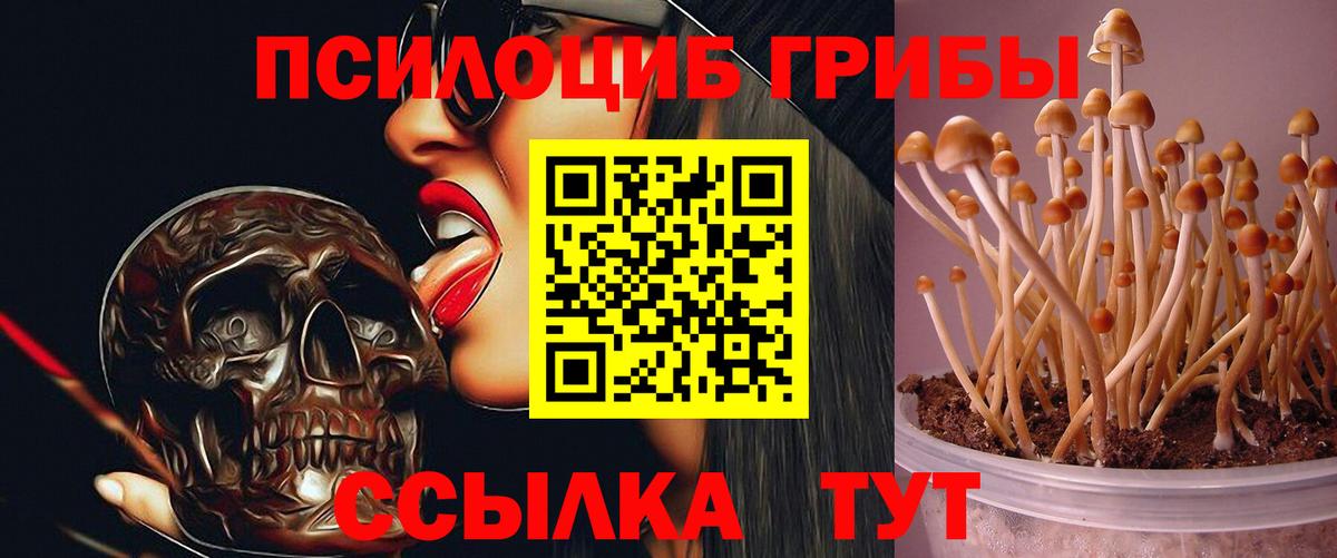 Галлюциногенные грибы прущие грибы Казань