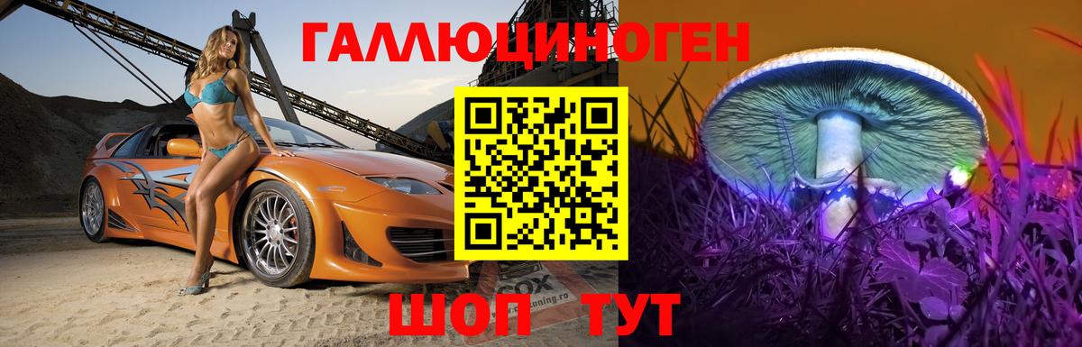 Казань  Галлюциногенные грибы Psilocybine cubensis  Псилоцибиновые грибы Psilocybe  сколько стоит  Вход с VPN 